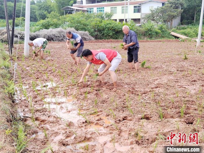成都大运会火炬传递点燃追梦之路