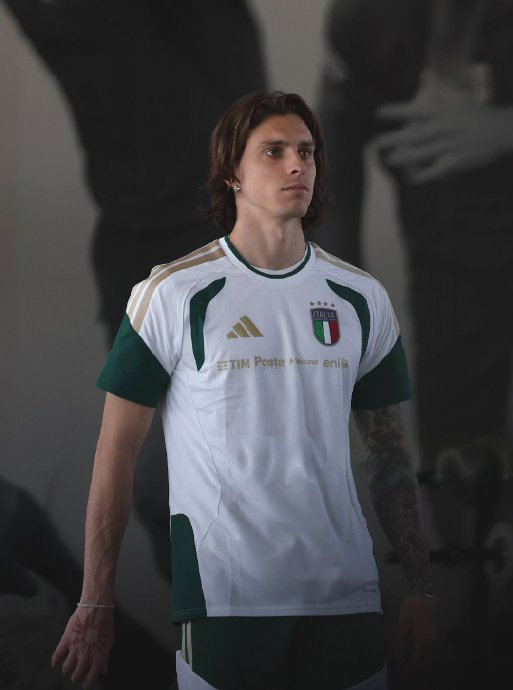 阿尔特塔：意大利痛失世界杯席位 瑞典球员激情