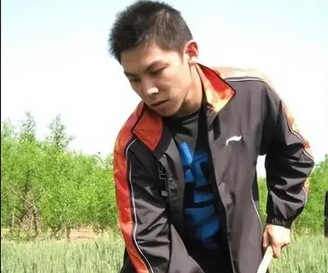 樊振东调整节奏引深思：老教练箴言揭示竞技体